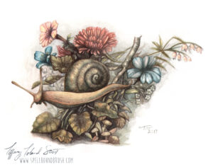 watercolor painting of a snail in a garden with flowers and leaves
