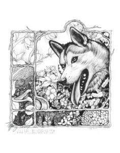 a husky in a garden looking at a snail in the undergrowth drawn in ink