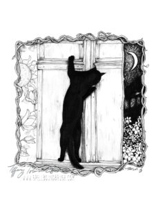 a black and white ink drawing of a cat scratching at a window to be let into a house